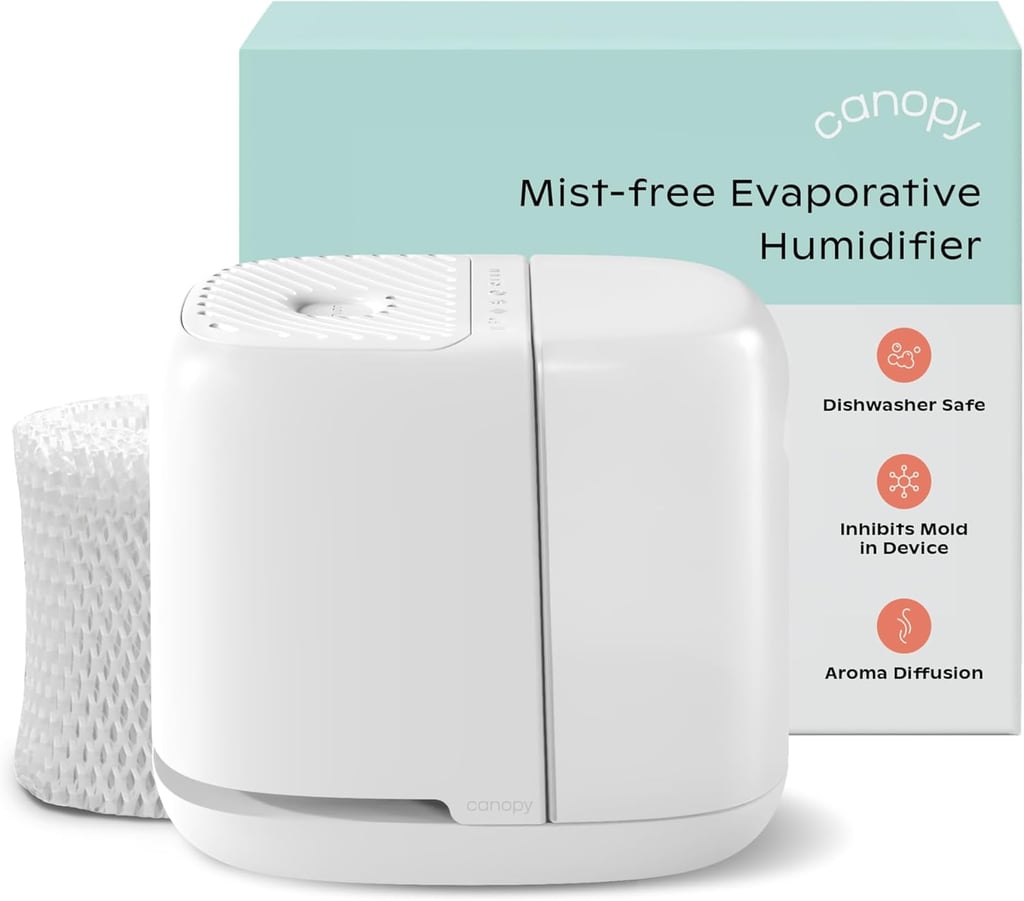 Canopy Humidifier ($159)
Your skin will thank you when you invest in the Canopy humidifier, a reimagined take on traditional humidifiers. What makes this one different is that it doesn't expel water or mist, so there's no chance for mold or bacteria to spread into the air. Plus, it also doubles as a diffuser to infuse your space with your favorite essential oils. Learn more by checking out our review of the  Canopy Humidifier.
Editor Quote: "On nights I use it, I wake up feeling less dry in my problem areas — my throat, nose, and skin. But the area around the humidifier never feels wet or damp, which has been a huge issue I've faced with humidifiers in the past." — Mirel Zaman, former health and fitness director