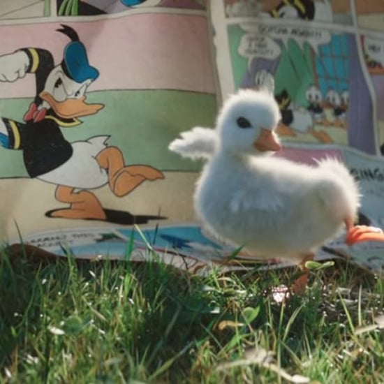 Disneyland Paris Little Duckling Commercial