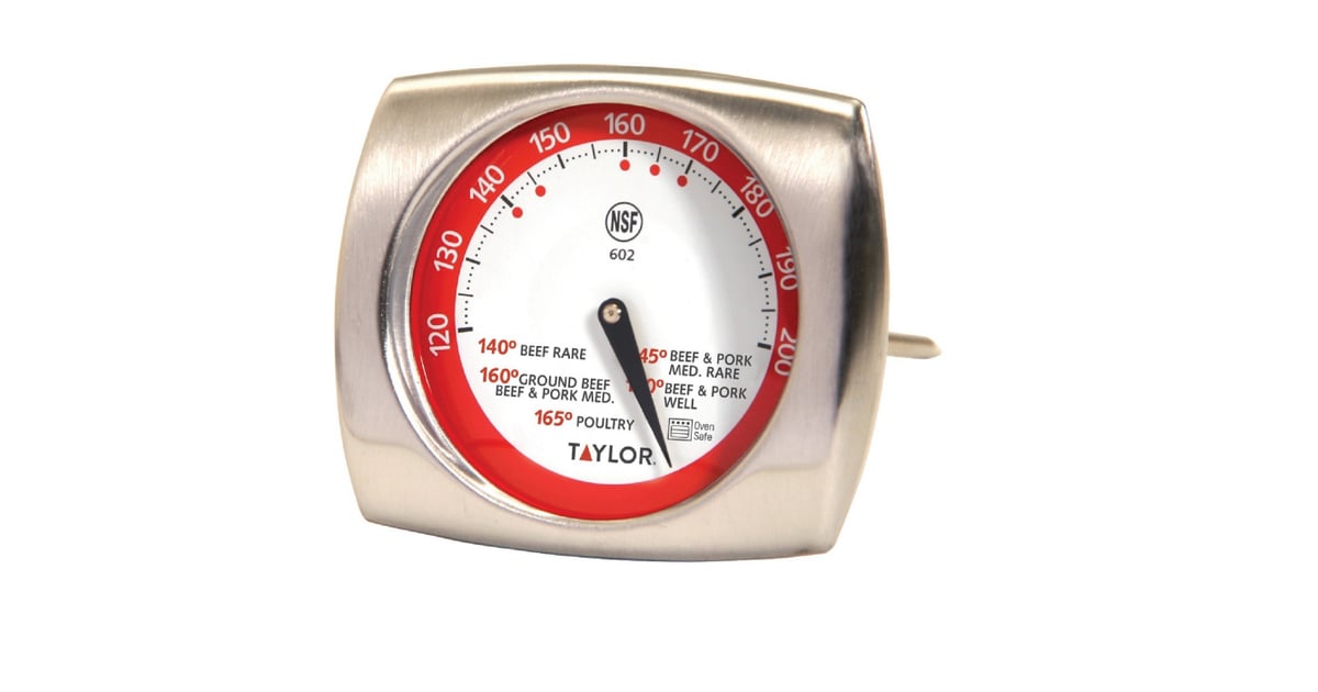 Taylor Gourmet Stainless Steel LeaveIn Meat Thermometer Best Kitchen