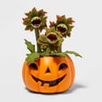 Yes, You Absolutely Need These Creepy Halloween Plants From Target