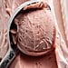The Best Ninja Creami Recipes from TikTok