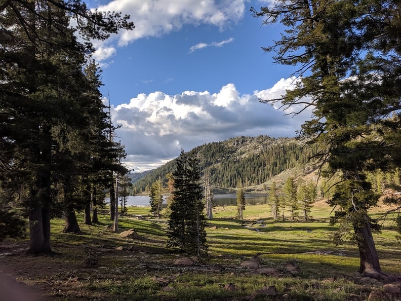 Tehachapi Pass, CA, to Bridge of the Gods, OR — Wild