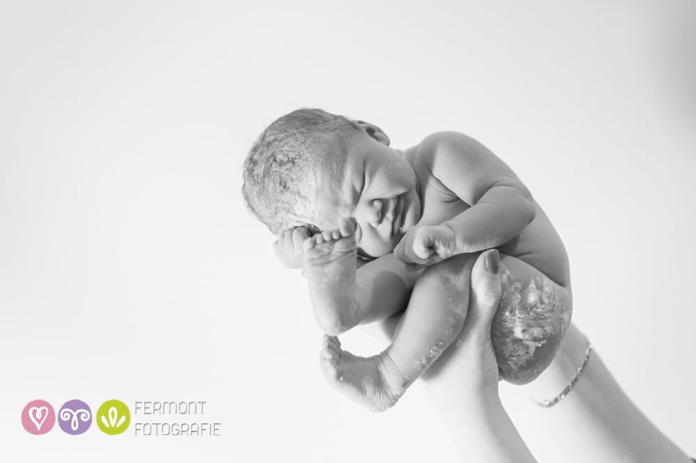 Photos of How Babies Fit Inside of Womb