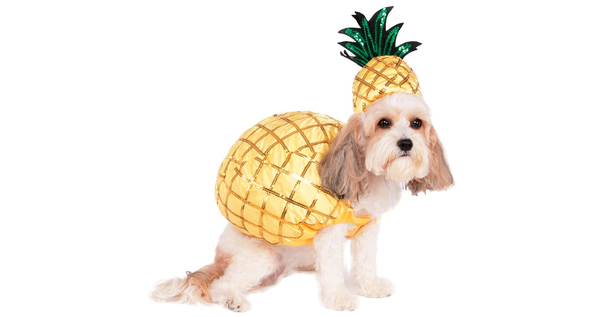 Pineapple Pet Costume Best Costumes For Dogs POPSUGAR Pets Photo 28