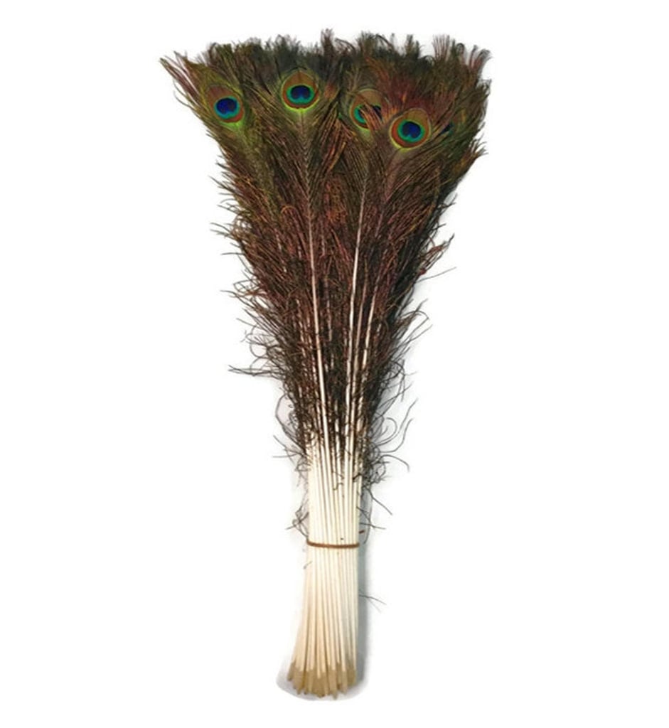 Peacock Feathers 10"-50"