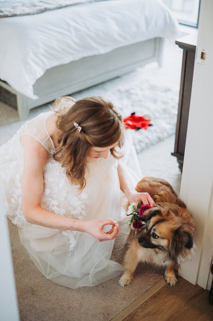 Dogs in Weddings