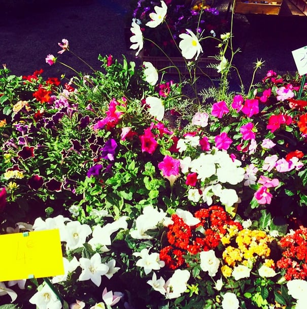 The Farmers Market Flowers