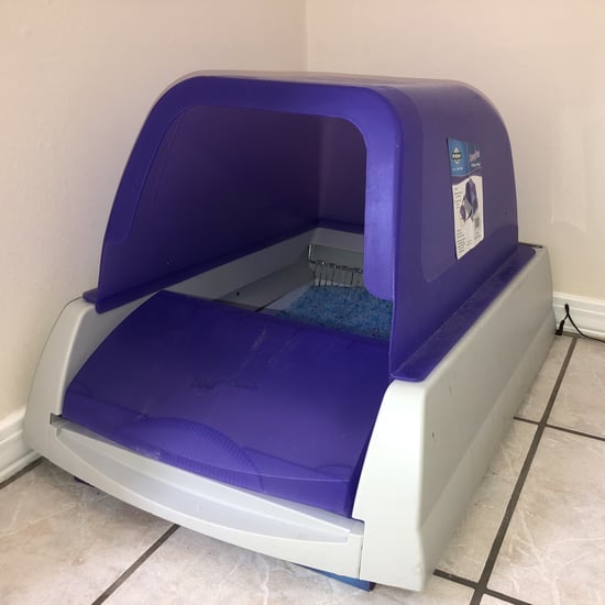 Why I Love the ScoopFree Self-Cleaning Litter Box | Review