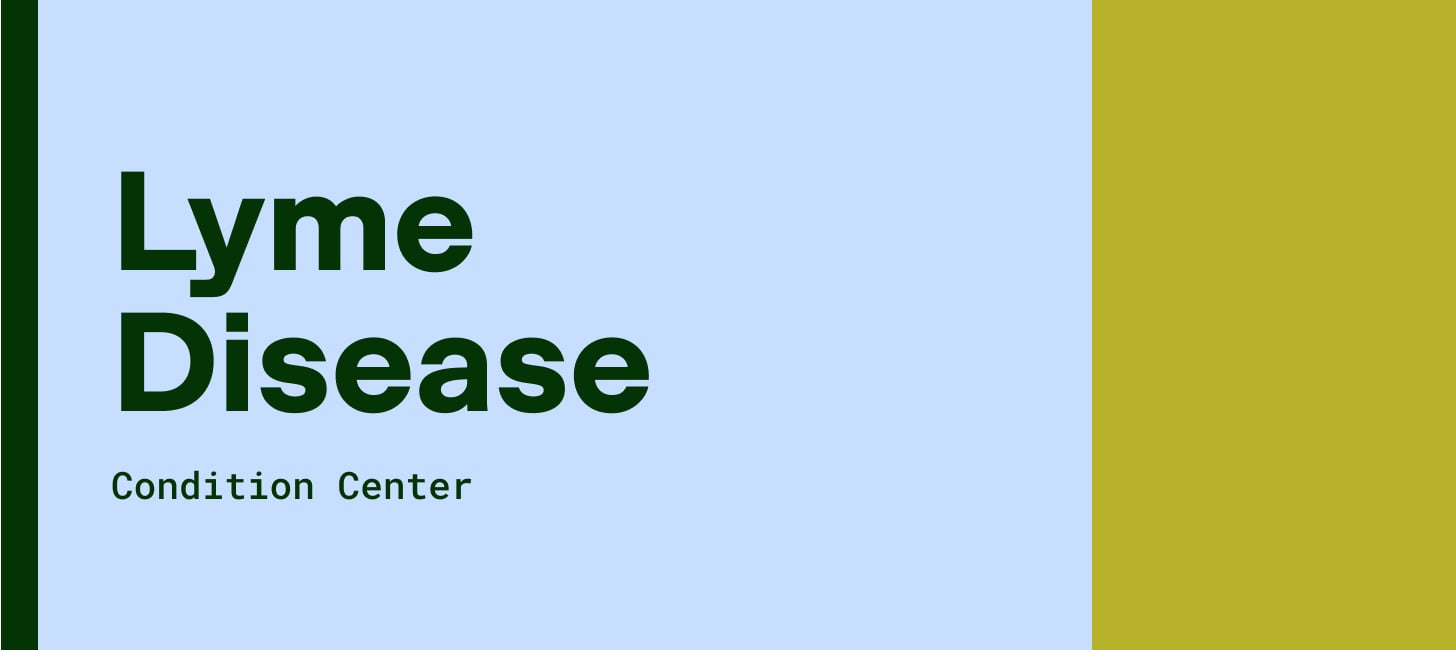 What is Lyme disease?