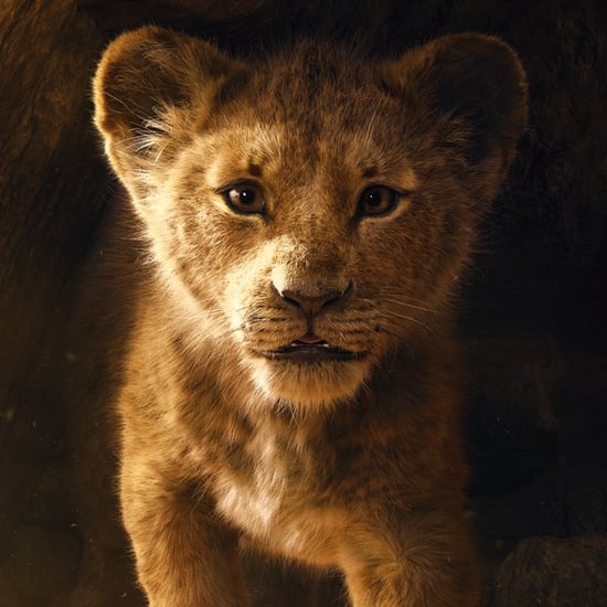 Lion King's Original Screenwriter Opinion About Remake