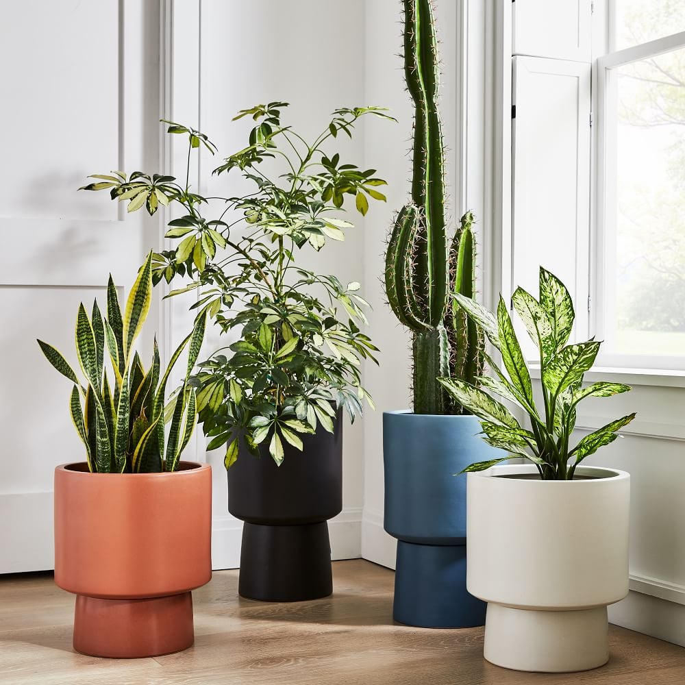 West Elm Bishop Pedestal Planters