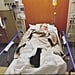 Amy Schumer Hospitalised With Hyperemesis Gravidarum 2018