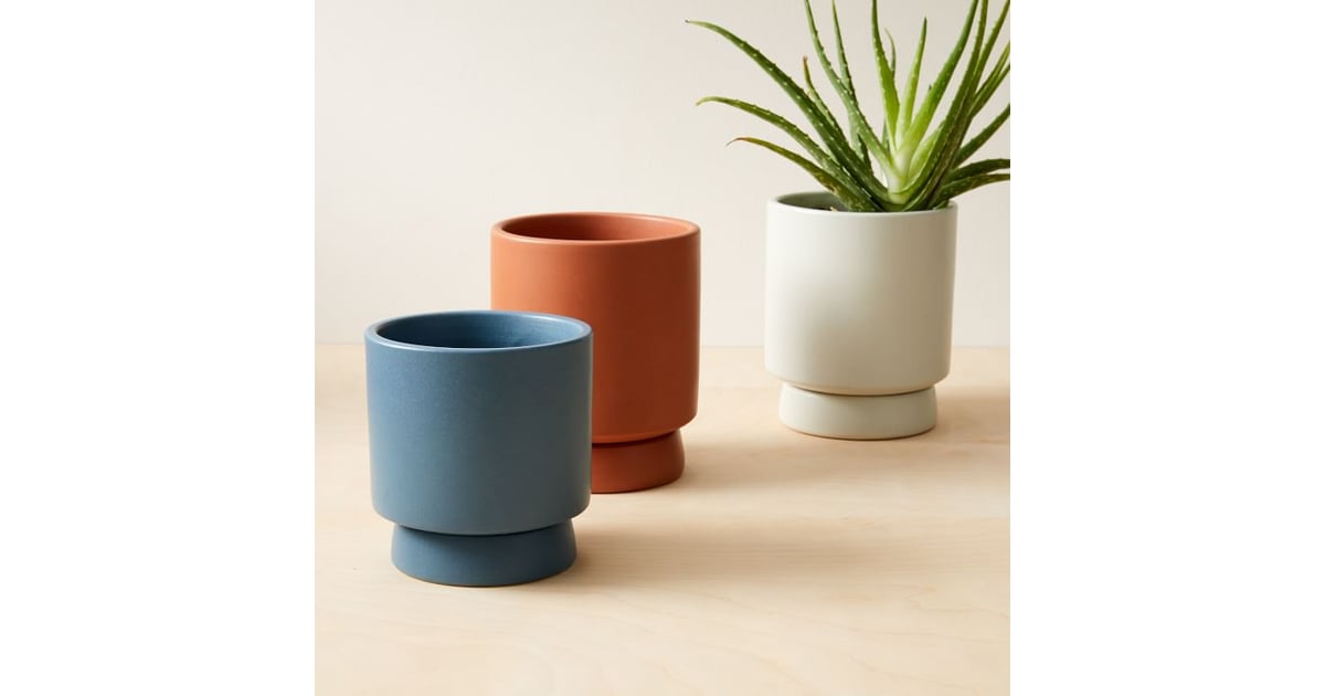 West Elm Tabletop Indoor/Outdoor Planters Best Deals From West