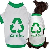 Eco-Friendly Pet Essentials