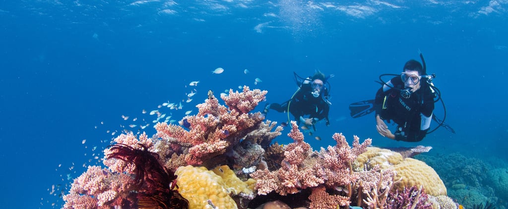 When Will Interstate Travel Restrictions Lift in Australia