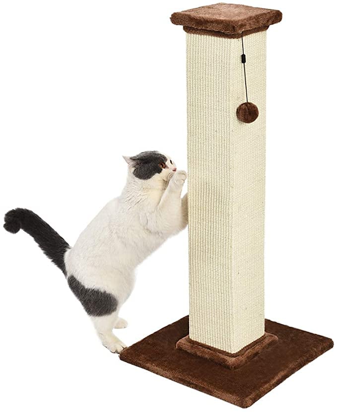 Amazon Basics Large Premium Tall Cat Scratching Post