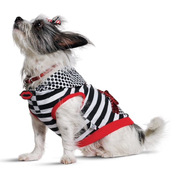 Gwen Stefani Harajuku Lovers Dog Clothes For Petco