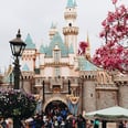 Is a Disneyland Pass Worth It? We Asked Pass Holders to Find Out