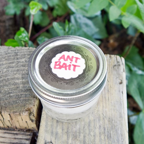 DIY Ant Bait