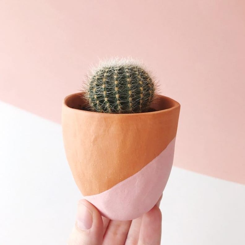 Cactus and Handmade Terra-Cotta Ceramic Planter