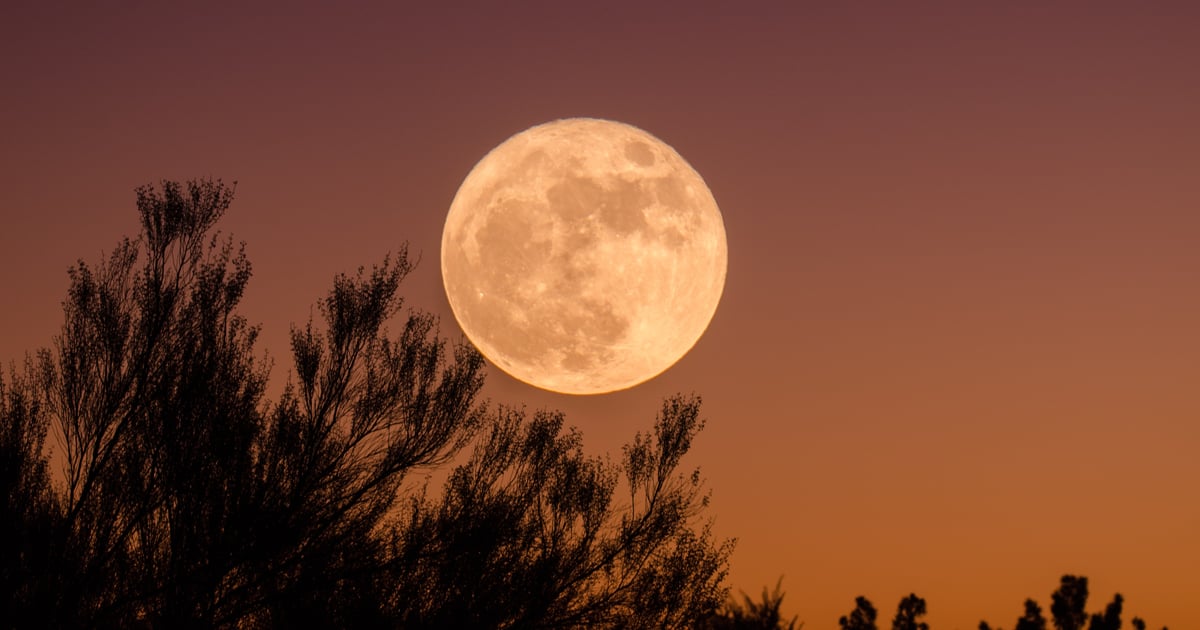 Wolf Moon January 2022 Spiritual Meaning | POPSUGAR Smart Living