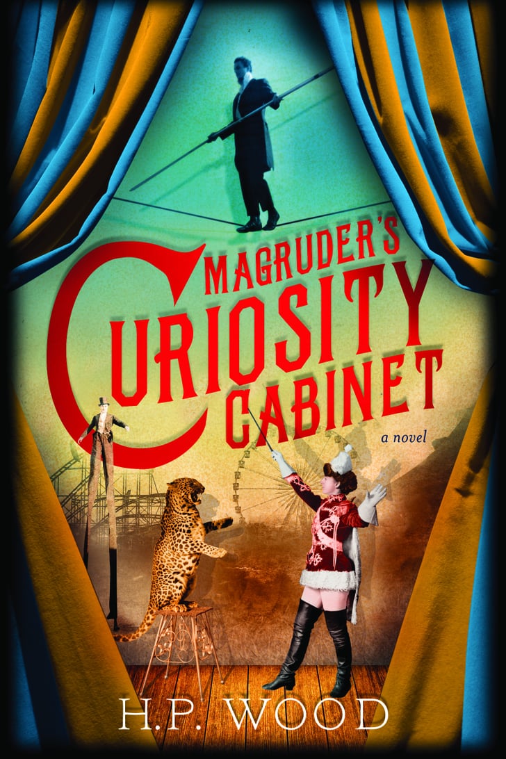 Magruder S Curiosity Cabinet By H P Wood Best 2016 Summer Books For Women Popsugar Love