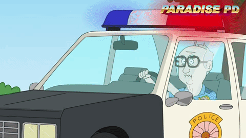 Paradise PD