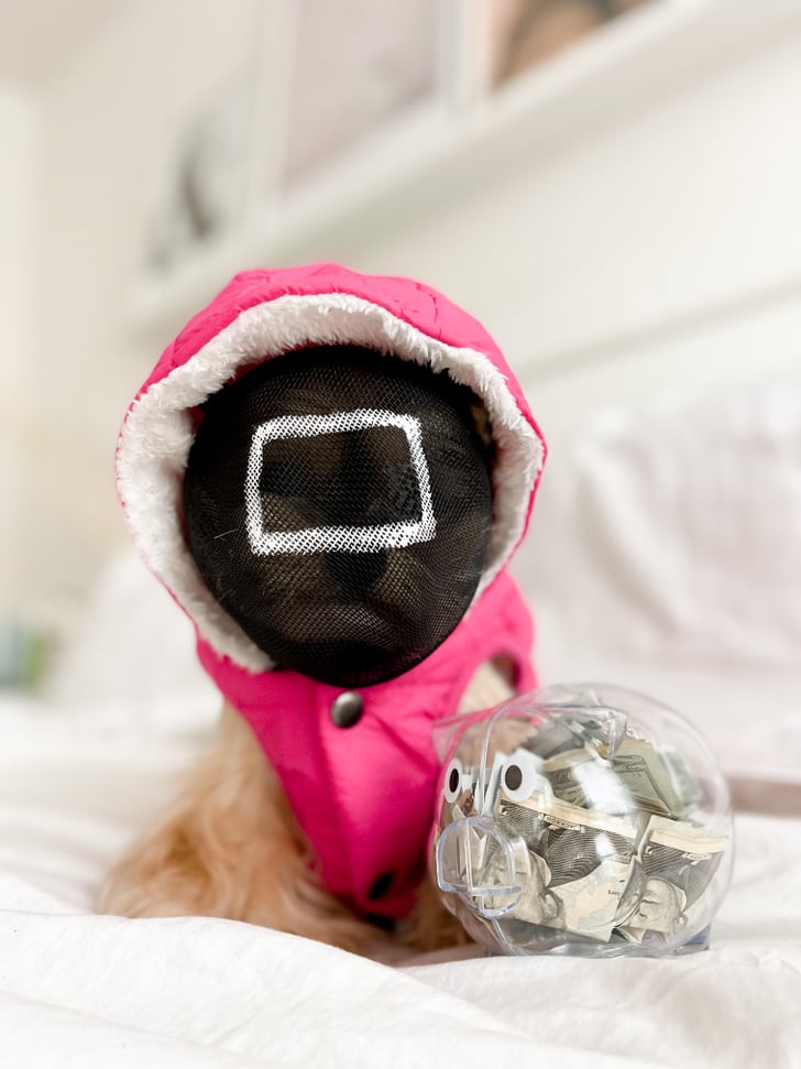 Ducky's Squid Game Guard Halloween Costume Ducky the Yorkie's Squid Game Halloween Costume