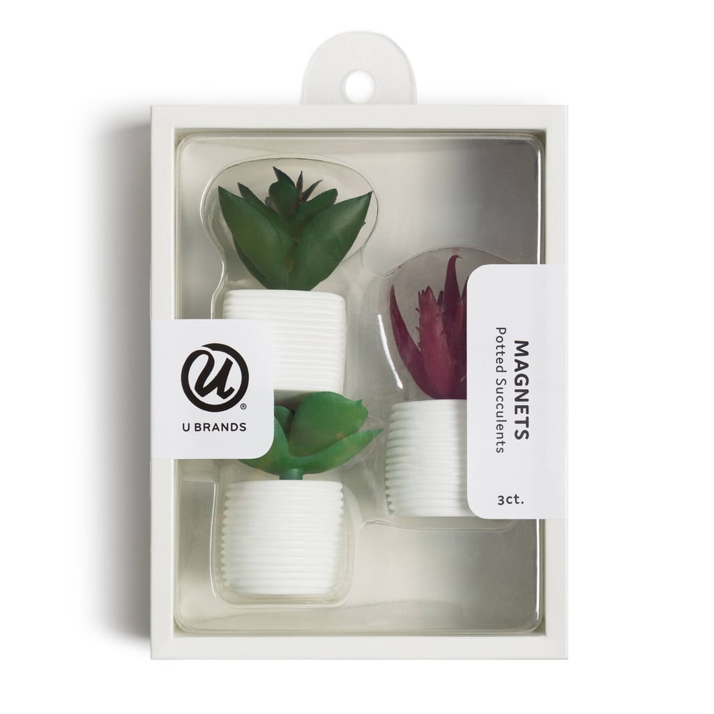 Perfect For Plant Parents: U Brands Succulent Plant Magnets