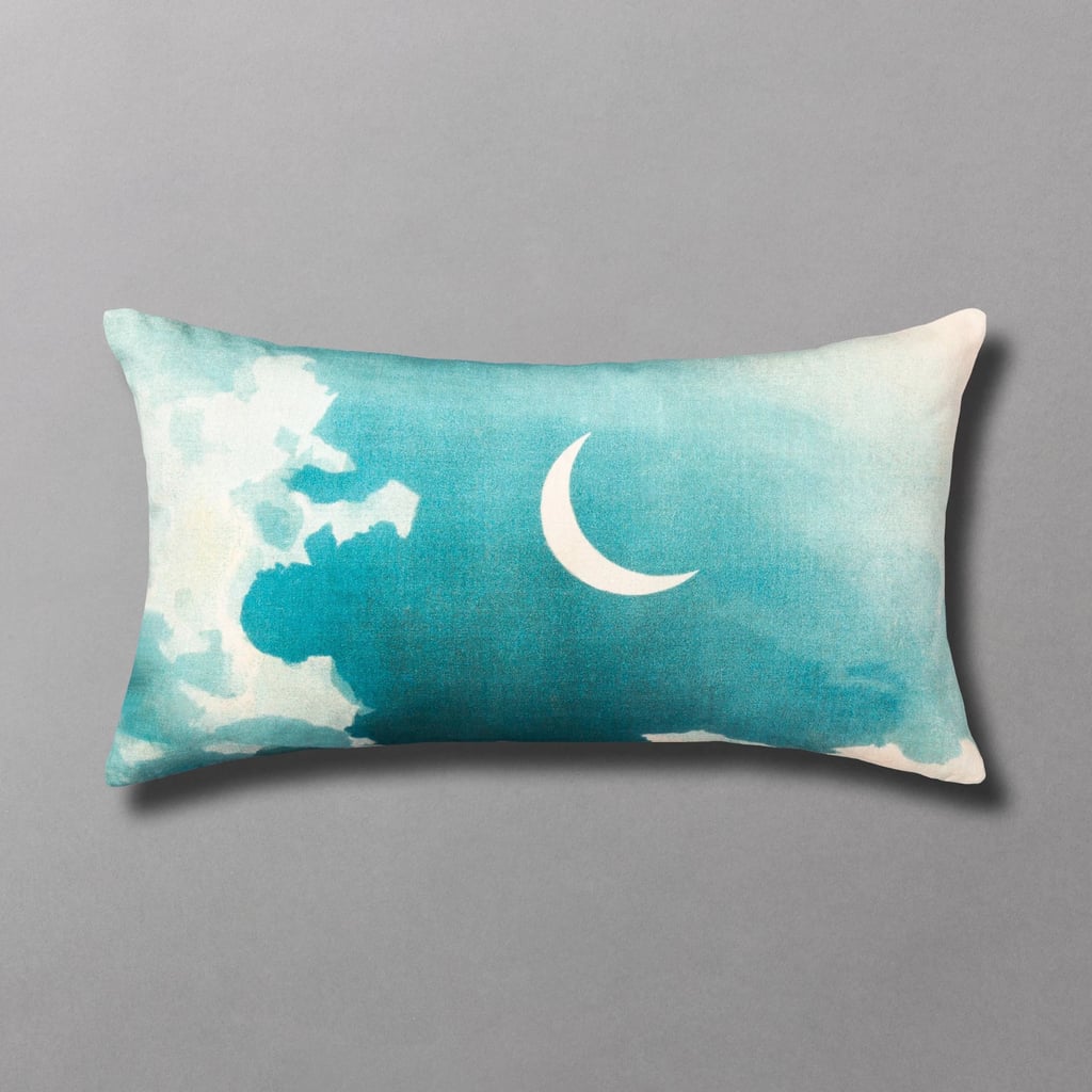 john derian cat pillow