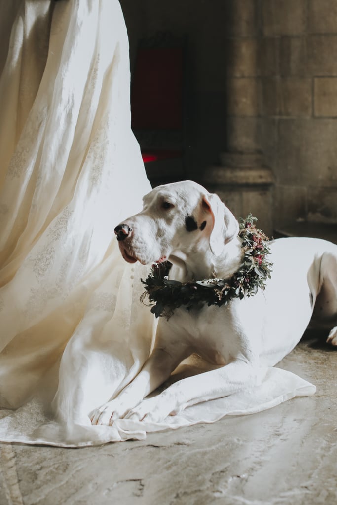 Game of Thrones Wedding 2019