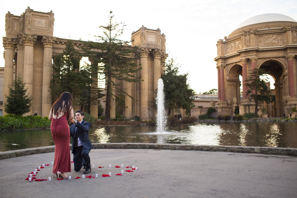Proposal at the Palace of Fine Arts