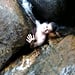 Pedra que Engole Rock Waterfall in Brazil
