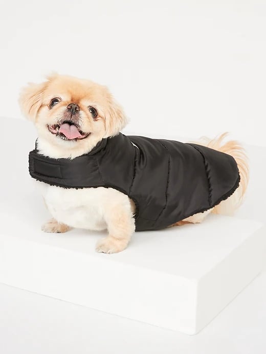 Old Navy Quilted Sherpa-Lined Puffer Jacket For Pets in All Black All the Time