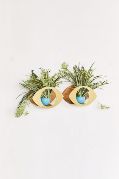 Eye Plant Wall Shelf