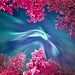 Insight Astronomy Photographer of the Year Shortlist 2017