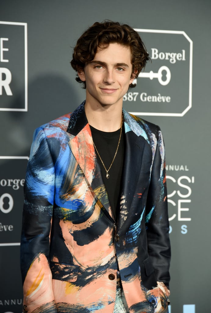 timothee chalamet pop funko