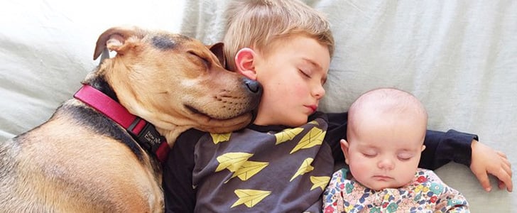 Adorable Pictures of Babies and Dogs