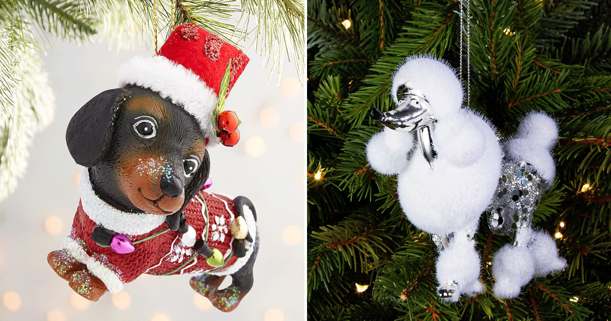 NEW Sandicast XSO17301 Springer Spaniel Black/White Dog in Santa Hat Ornament 