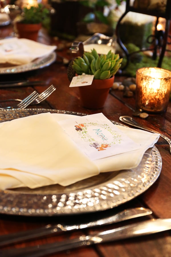Shabby Chic Woodlands Baby Shower
