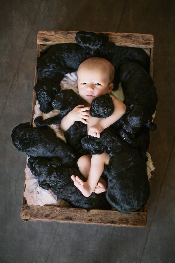 Newborn Baby and Puppies Photo Shoot