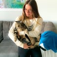 Staud Just Launched the Coziest Sweatshirt Known to Mankind — Because It Has Your Pet's Face on It