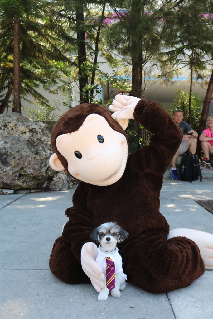 I then met Curious George!