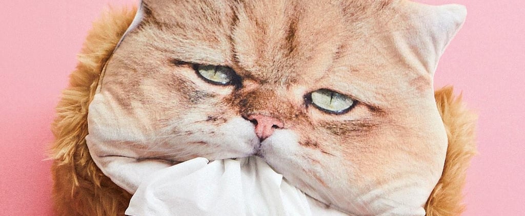 Fluffy Cat Tissue Box