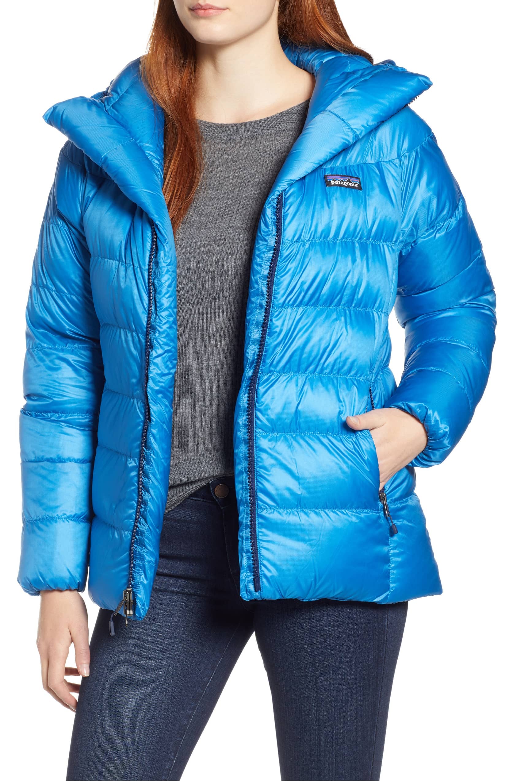 Patagonia Fitz Roy Water Repellent 800 