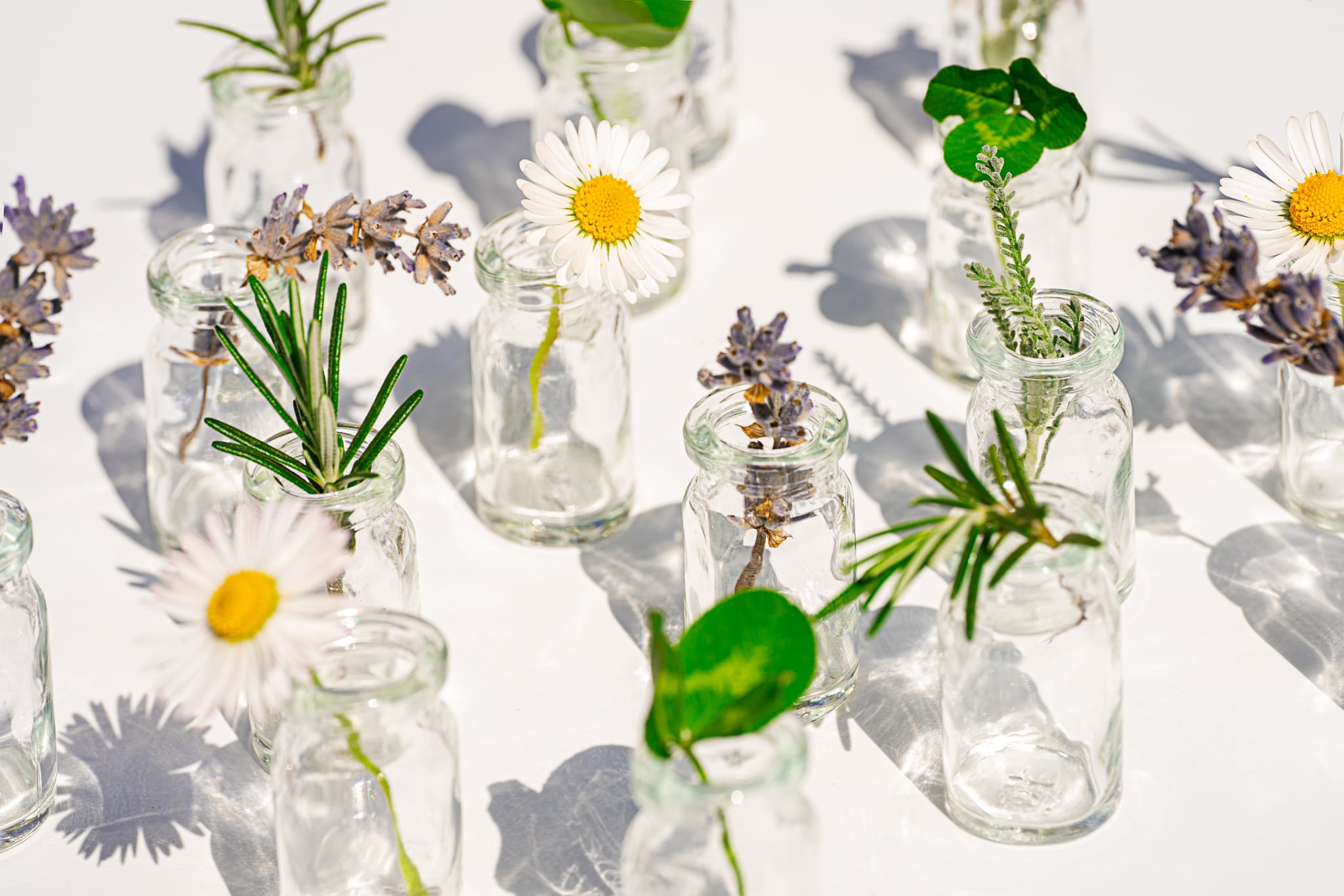 Natural ingredients for cosmetic products for the care of skin and hair. Concept with Bottles with natural plants. Bottles with herbs for natural essential oils and organic cosmetics , medicine on the white background. Concept of an eco, supplement, cosmetics. Front view. Defocussed. Copy space. Close-up.