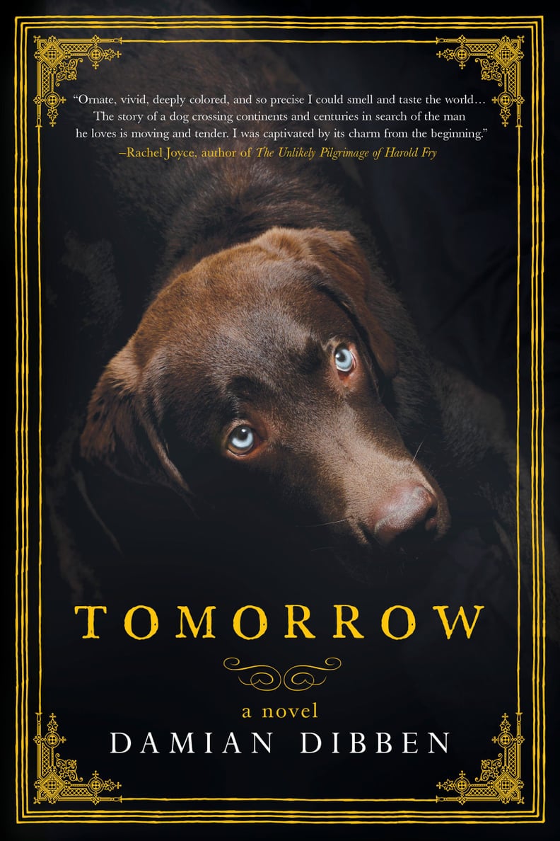 Tomorrow by Damian Dibben