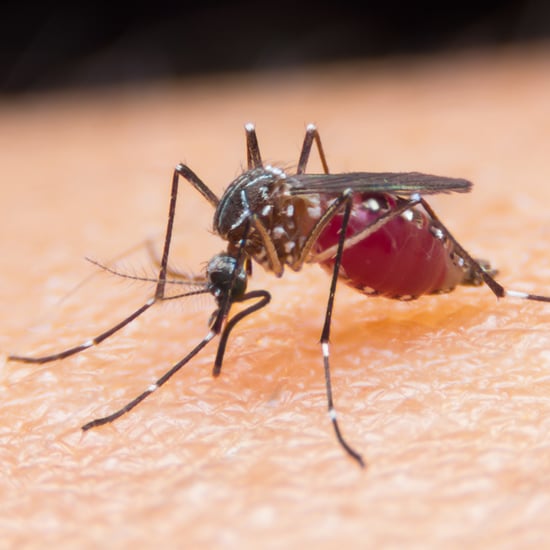 Zika Virus Could Be More Harmful to the US Than Expected
