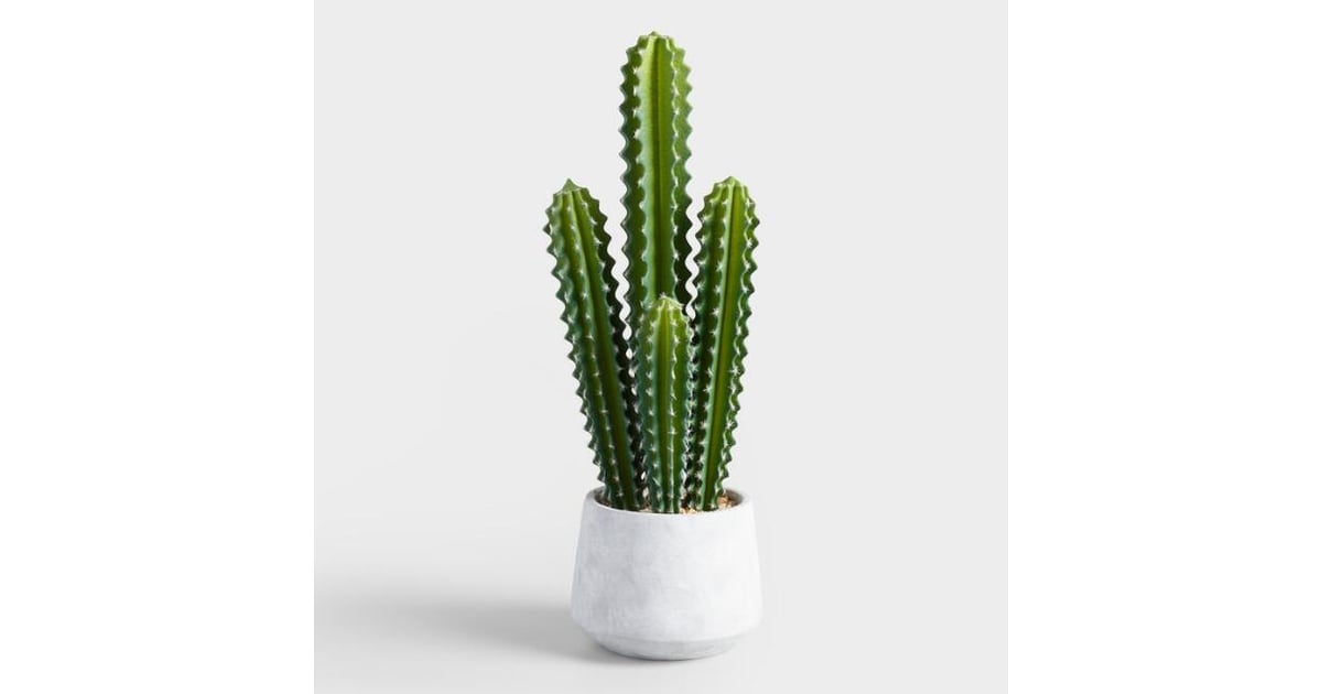 Faux Potted Senita Cactus | Best Fake Plants That Look ...