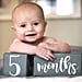 Grey Baby Gifts